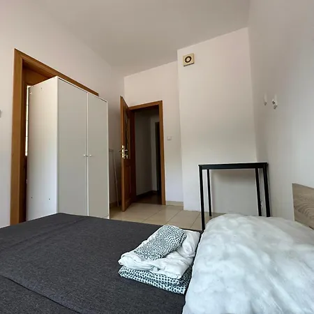 Séjour chez l'habitant Boxer