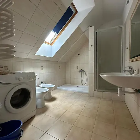 Séjour chez l'habitant Boxer